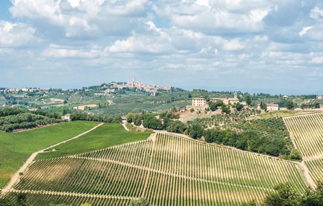 Apartment Fattoria Il Piano - Aia - San Gimignano